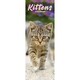 image 1 of Kittens Slim 2026 Calendar | Slimline Wall Calendar | Cat Gift | Plastic Free Packaging | by Avonside Publishing [Calendar] Avonside Publishing Ltd
