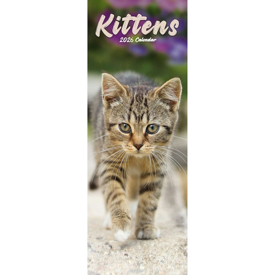 image 1 of Kittens Slim 2026 Calendar | Slimline Wall Calendar | Cat Gift | Plastic Free Packaging | by Avonside Publishing [Calendar] Avonside Publishing Ltd