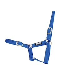 Roma Foal Headcollar - Blue - Foal