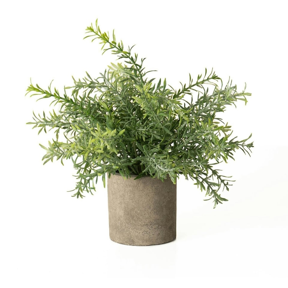 Hill Interiors Rosemary Stone Effect Artificial Plant - Green - 24cm x 24cm x 24cm