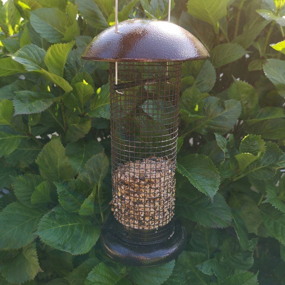 image 1 of Tom Chambers Giant Heavy Duty Flick Top Garden Wild Bird Hanging Copper Effect Metal Peanut Feeder