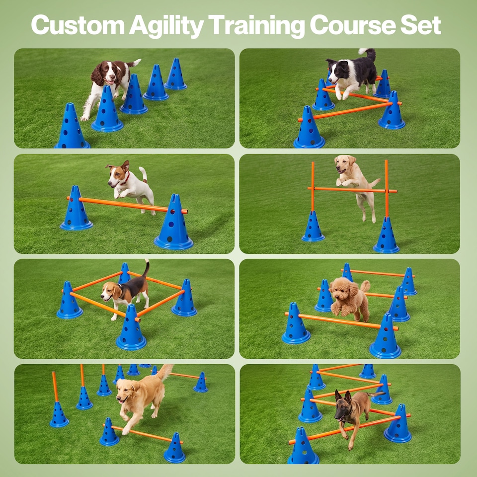 image 1 of Skylos Dog Agility Training Set Hurdle Cone Kit Height Adjustable Storage Bag