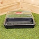 image 4 of 6 x 38cm Unheated Seed Starter Tray Grostart Midi Propagator Indoor Seedling Planter