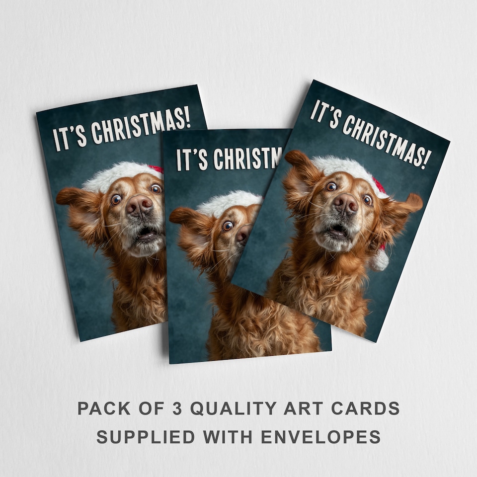 image 1 of Golden Retriever Christmas Card Santa Hat Funny Set of 3 Greeting Cards Blank