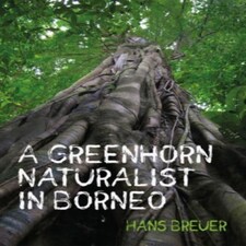 Greenhorn Naturalist In Borneo A