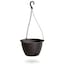 Brown & Set of 1
