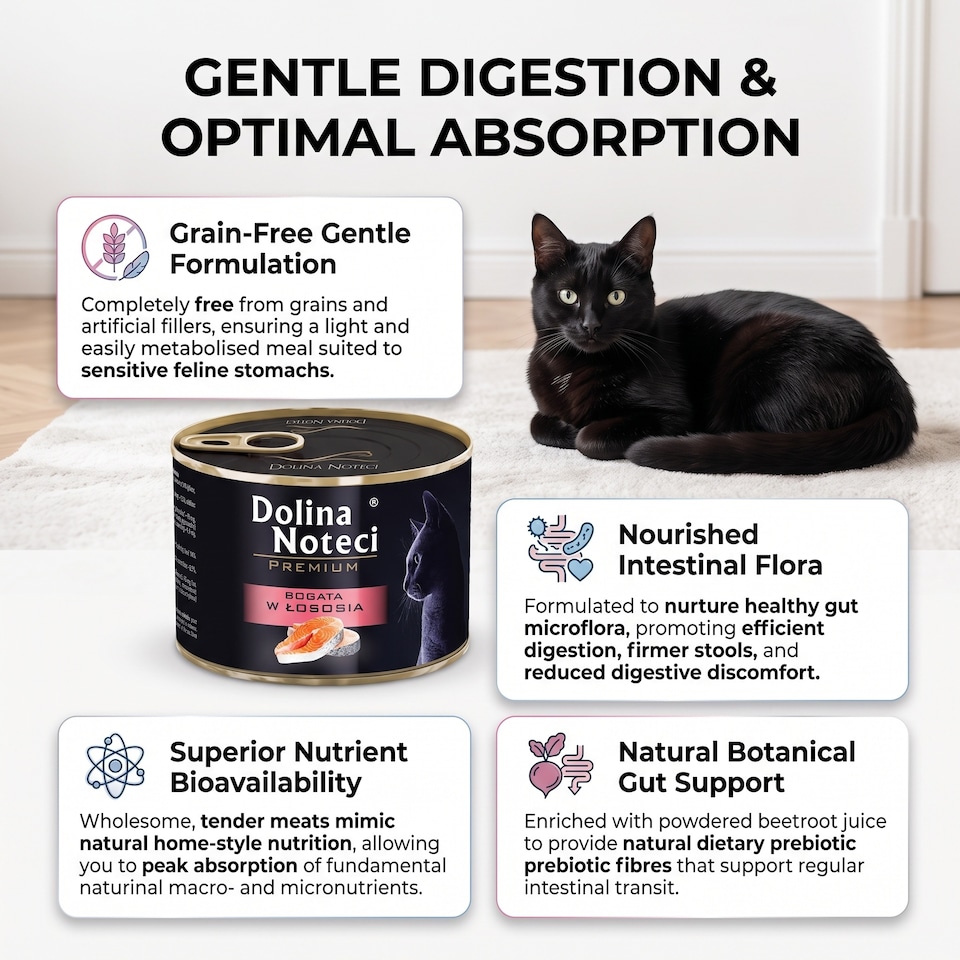 image 1 of Dolina Noteci Premium z Łososiem Wet Cat Food 185g  Complete and Balanced Grain Free Nutrition for Adult Cats High Protein x6