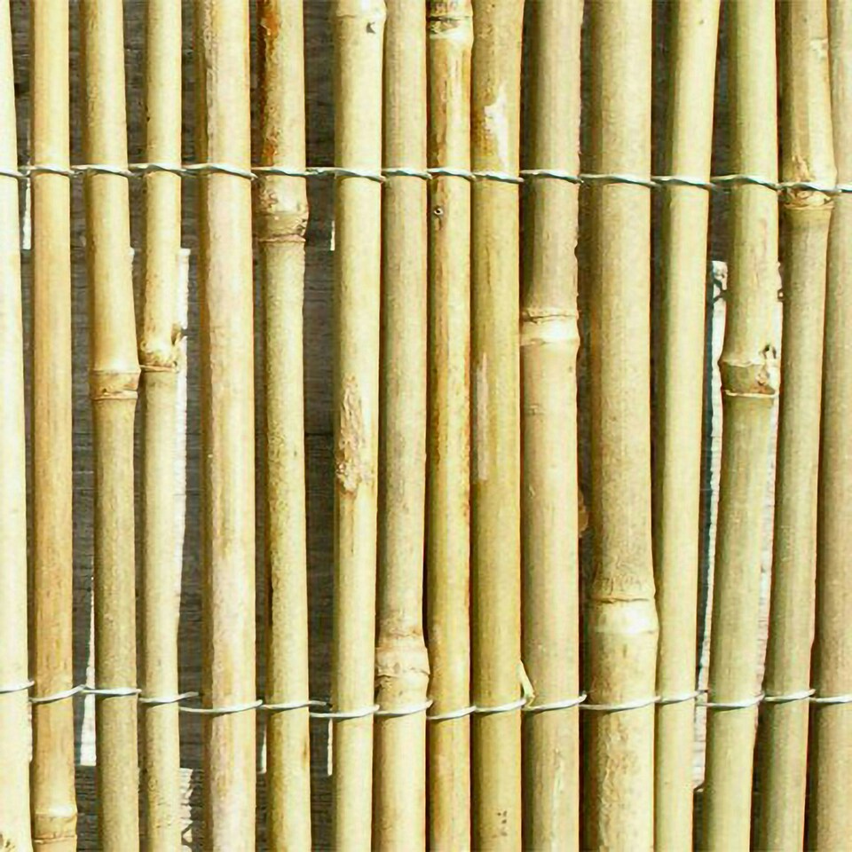 image 1 of Bamboo Cane Screening Roll Natural Fencing 3m x 1.5m