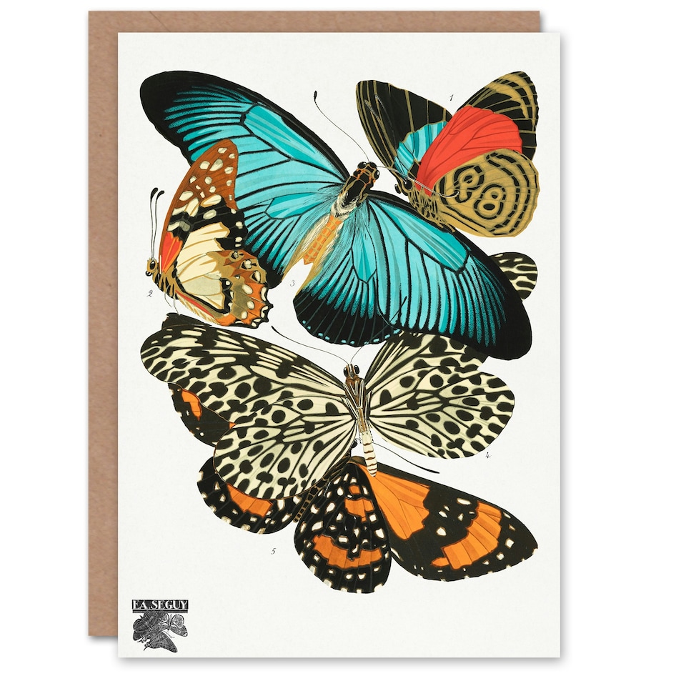 image 1 of Eugene Seguy Art Card Vintage Butterflies Blue and Orange