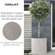image 6 of Square Box Grey Light Concrete Garden Planter H50 L50 W50 cm, 126 ltrs Cap.