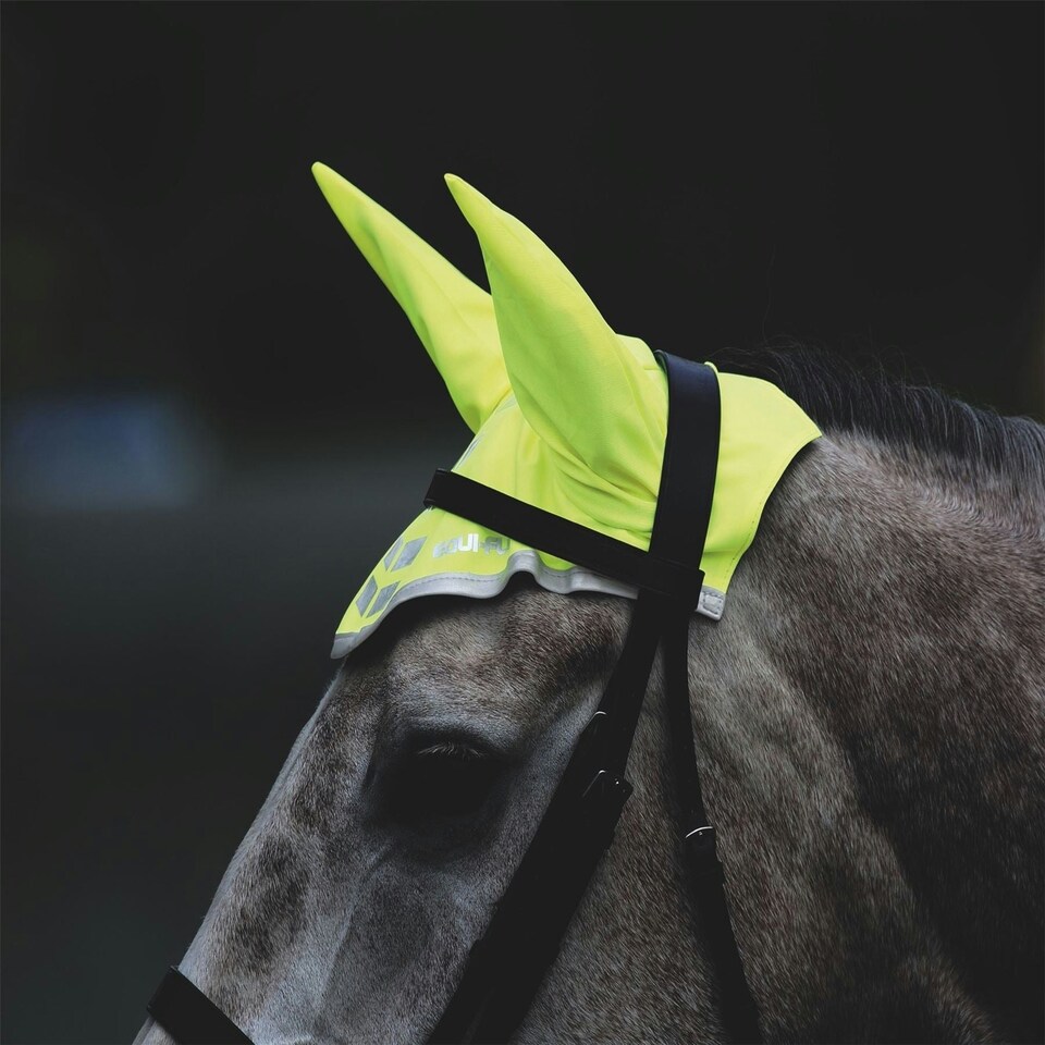 image 1 of Shires Equi-Flector® Fly Veil Pink | Size: Pony
Colour: Pink