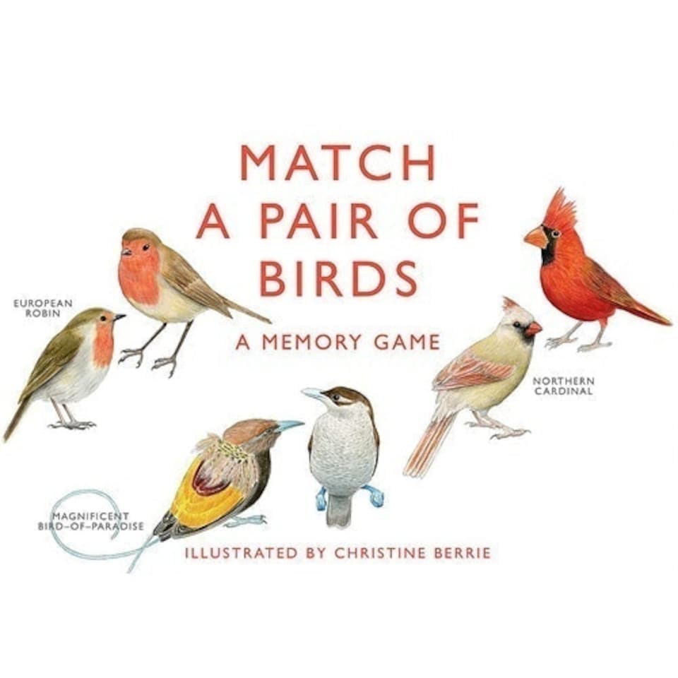 Match a Pair of Birds