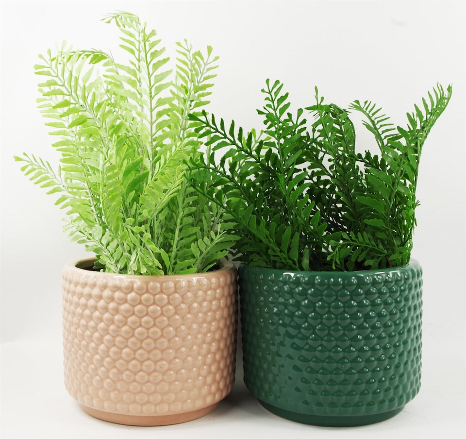 image 1 of Dusty Pink Raised Dots Ceramic Plant Pot 15 x 15 x 12.5cm | Pink