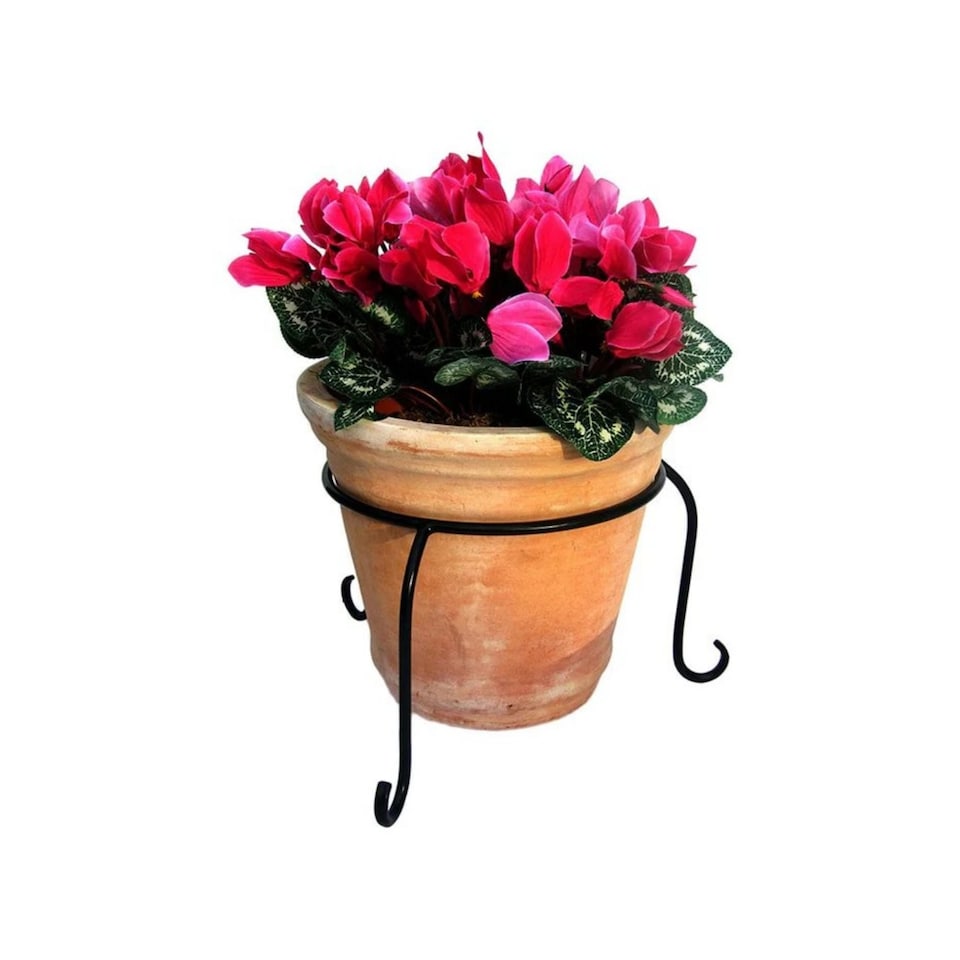 image 1 of Garden Pride Flower Pot Ring - 8'' Diameter - Black Single