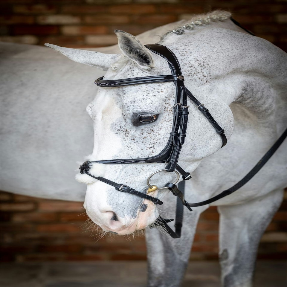image 1 of LeMieux Grackle Bridle Black | Full
