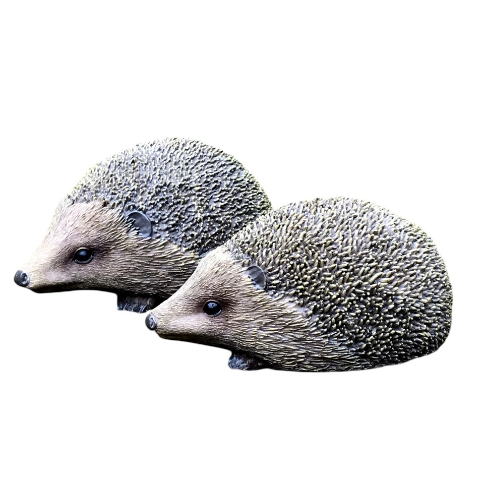 image 1 of Set Of Two Hedgehogs Home Or Garden Decorations