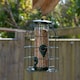 image 1 of Samuel Alexander Metal Hanging Bird Seed Feeder with Squirrel Guard