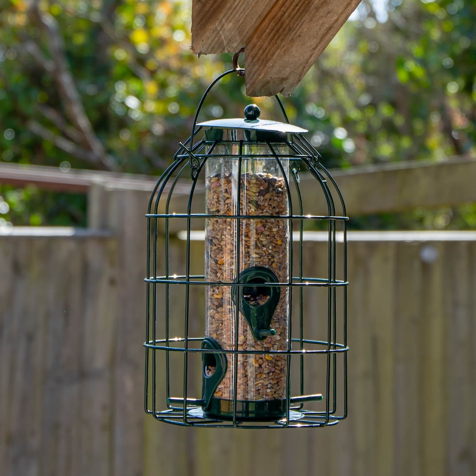 image 1 of Samuel Alexander Metal Hanging Bird Seed Feeder with Squirrel Guard
