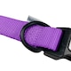 image 4 of HugglePets Snappy Adjustable Dog Collar Purple | L