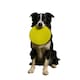 image 2 of Nike Max Fusion Flying Disc | Yellow | Yellow | L | 1