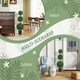 image 4 of HOMCOM Set of 2 Decorative Artificial Plants Boxwood Trees in Pot, Green
