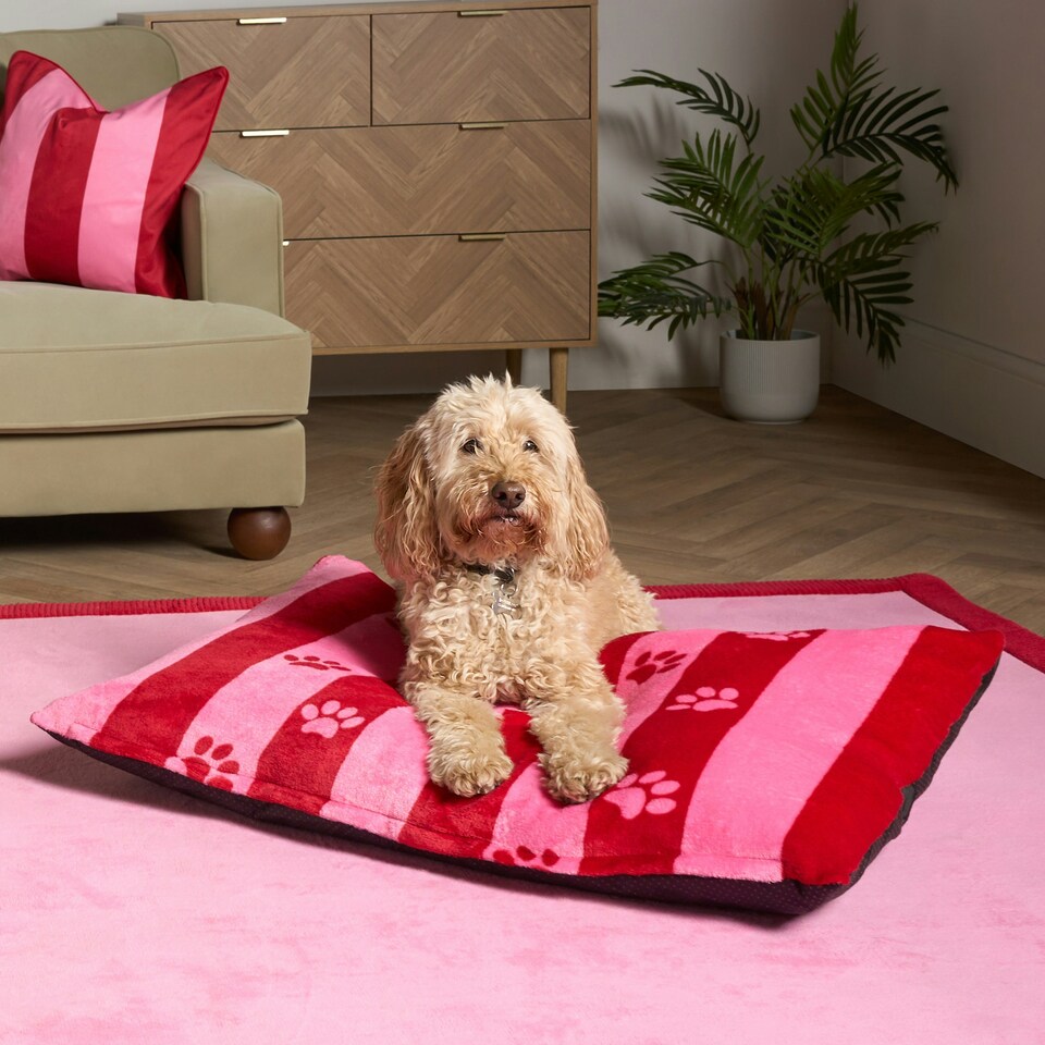 image 1 of OHS Dog Paw Print Soft Plush Plump Cosy Autumn Pumpkin Stripe Leopard Pet Bed Cushion, 80x60cm Multi | Pink/Red - Stripe | L