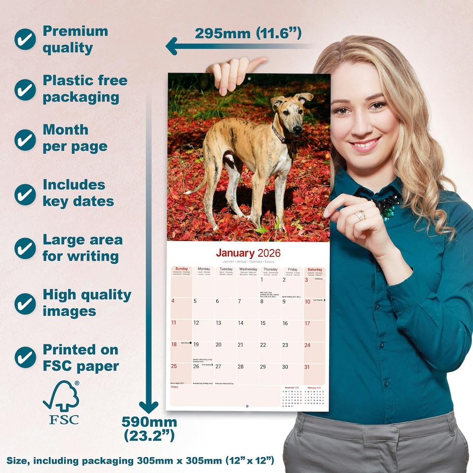 image 1 of Greyhound 2026 Calendar | Square Wall Calendar | Dog Breed Gift | Plastic Free Packaging | by Avonside Publishing