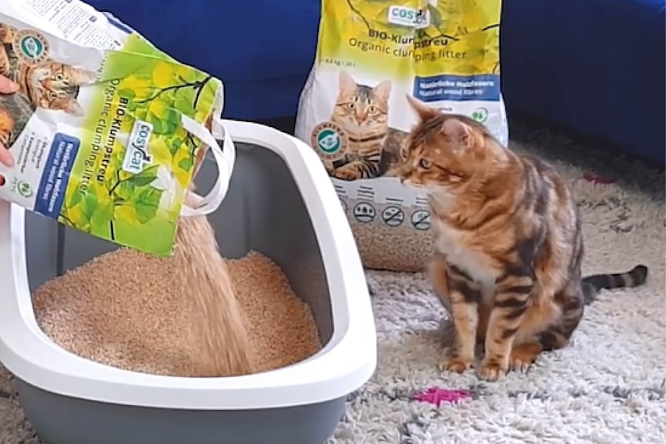 image 1 of Cosycat Clumping Wood Cat Litter 10L Coarse Granule