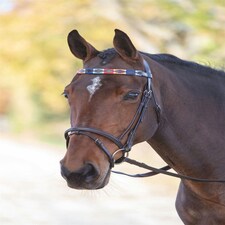 Shires Blenheim Leather Polo Browband Red | Size: X-Full
Colour: Turquoise/Red/Orange/Blue