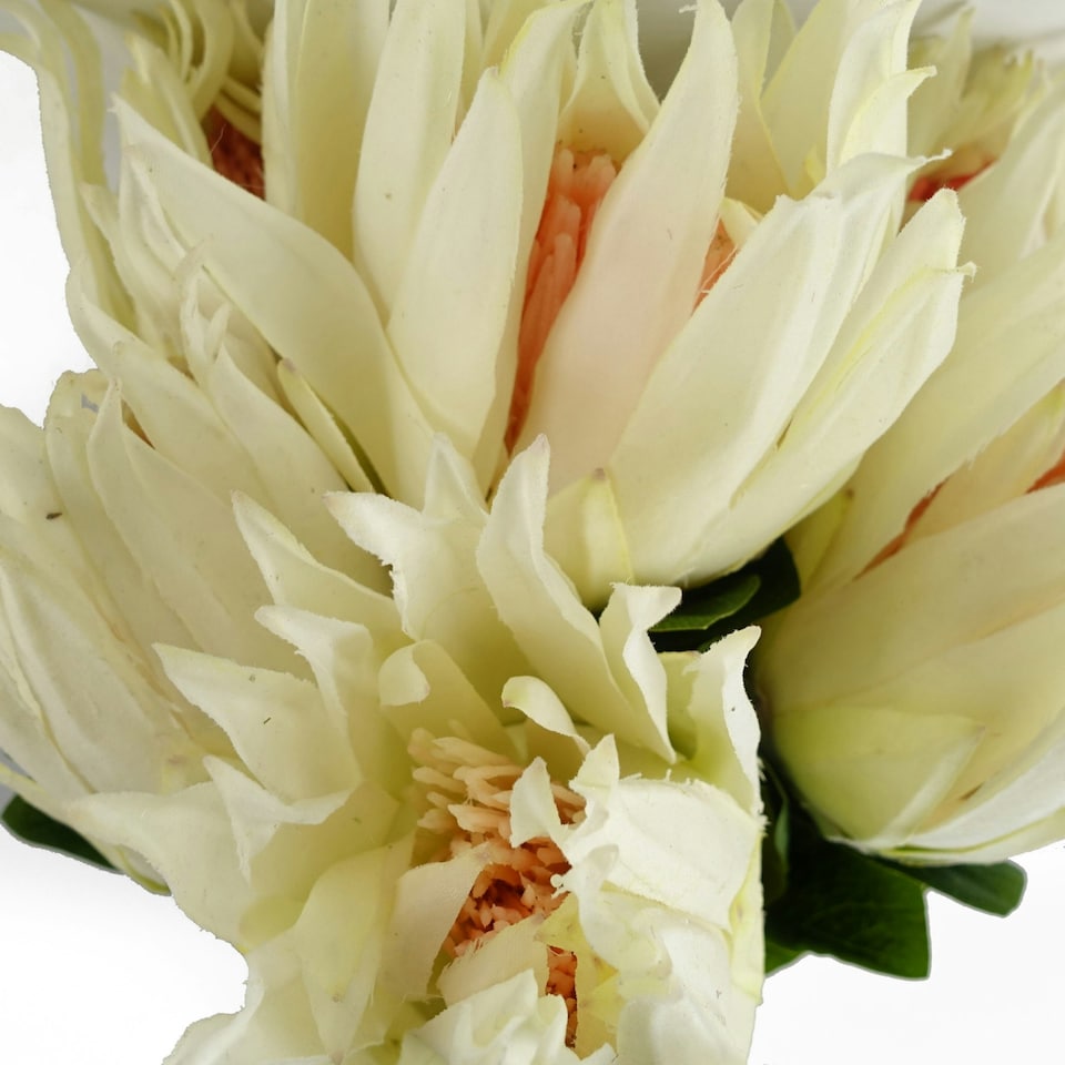image 1 of 65cm Protea Sugarbush Flower Stem - White