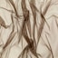 Chocolate Brown
