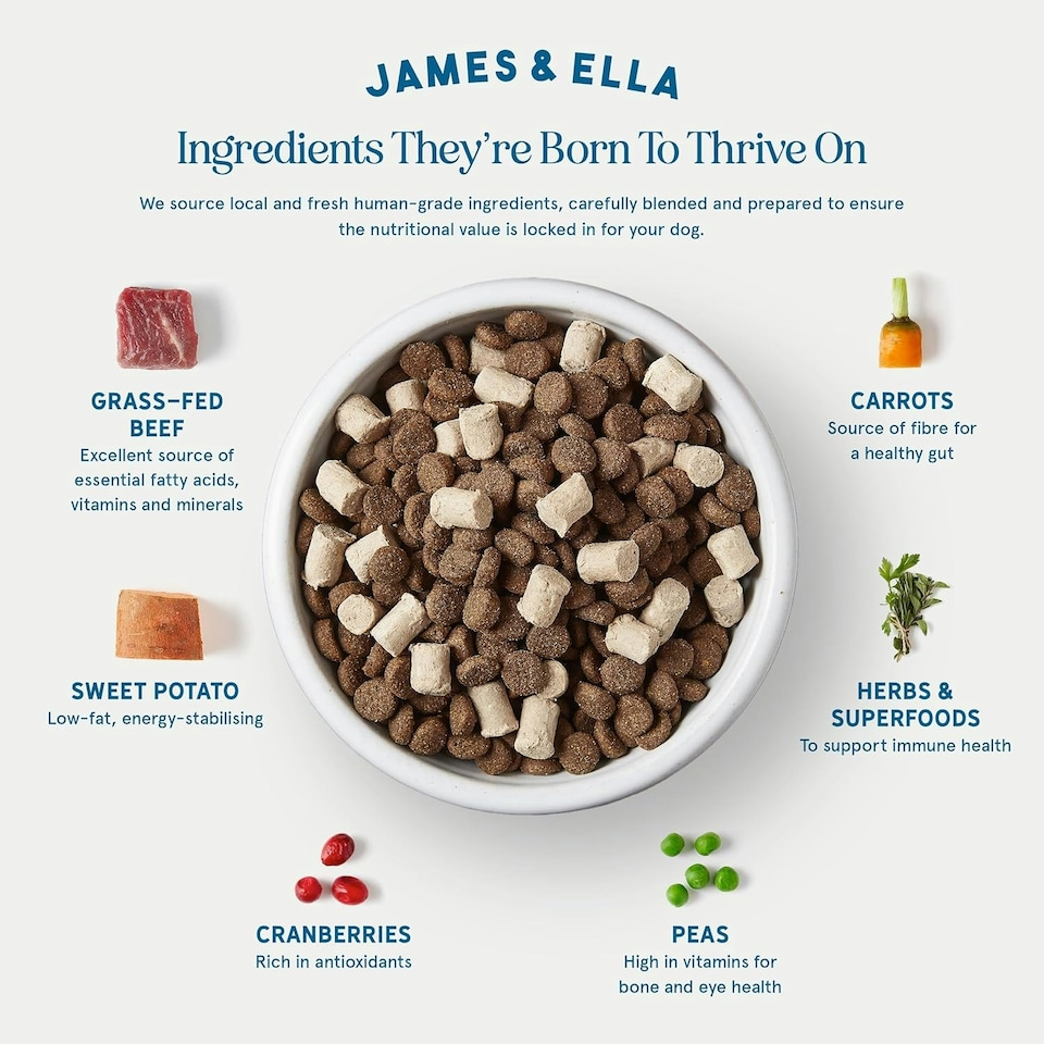 image 1 of Kibble + Raw Dog Food - Grass-Fed Beef 1.5KG