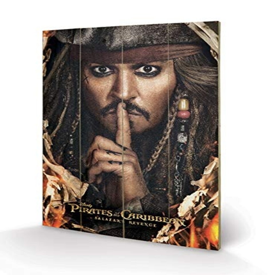 PIRATES OF THE CARIBBEAN (CAN YOU KEEP A SECRET) SMALL WOOD - WOOD PANEL