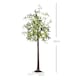 image 5 of HOMCOM 6ft Olive Tree Light with 300 Warm White LED Lights, Artificial Tree for Indoor, Party, Wedding, Christmas, Home Decoration, Green