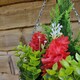 image 5 of Best Artificial 25cm / 10 Inch Red Hyacinth Hanging Basket - Suitable for Outdoor Use - Weather & Fade Resistant | Red | Red | 1