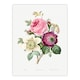 image 3 of Pierre Joseph Redoute Framed Wall Art Anemone and Cabbage Rose Flower Home Décor