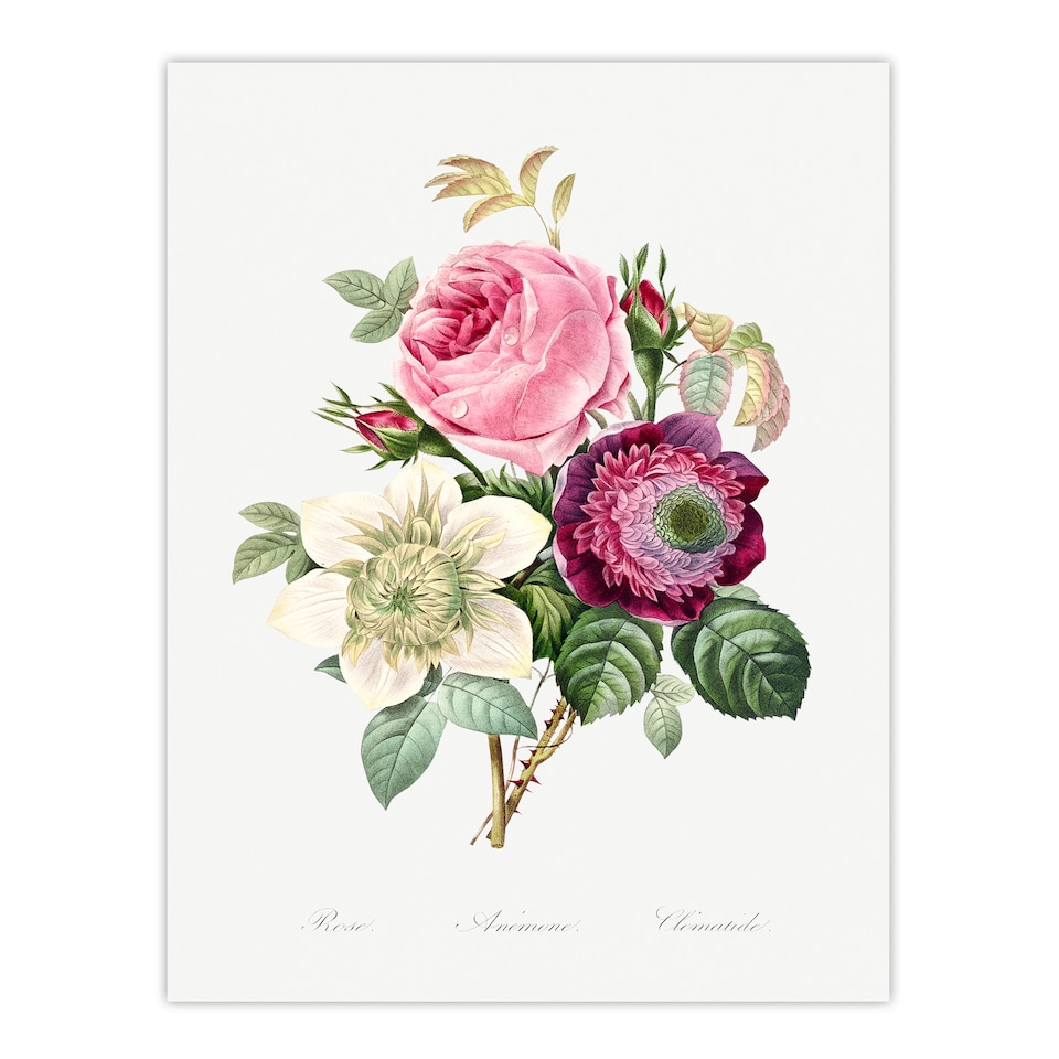image 1 of Pierre Joseph Redoute Framed Wall Art Anemone and Cabbage Rose Flower Home Décor