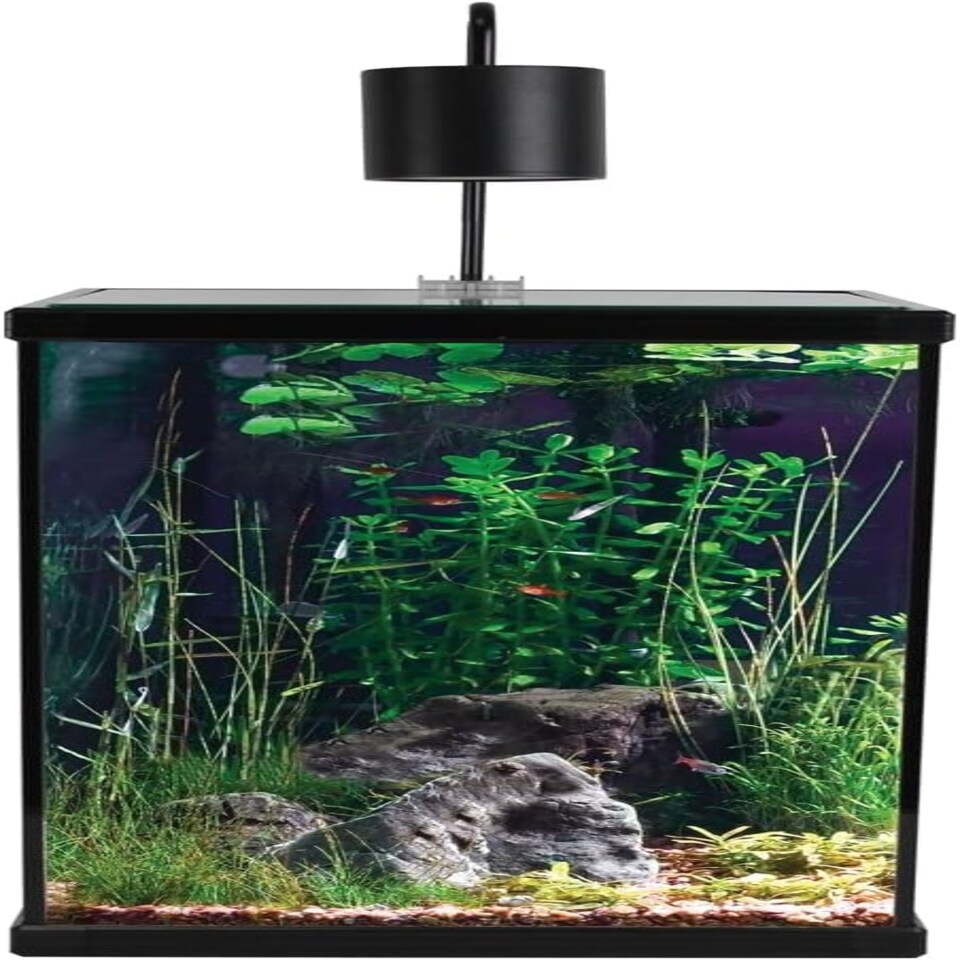 image 1 of Aqua One Dynamic 58 Full Aquarium Set Multi