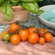 image 2 of Tomato Merrygold F1 1 Seed Packet (8 Seeds)