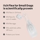 image 4 of Itch Flea Small Dog Flea & Tick Spot On Treatment 1 Pipette (2-10kg)