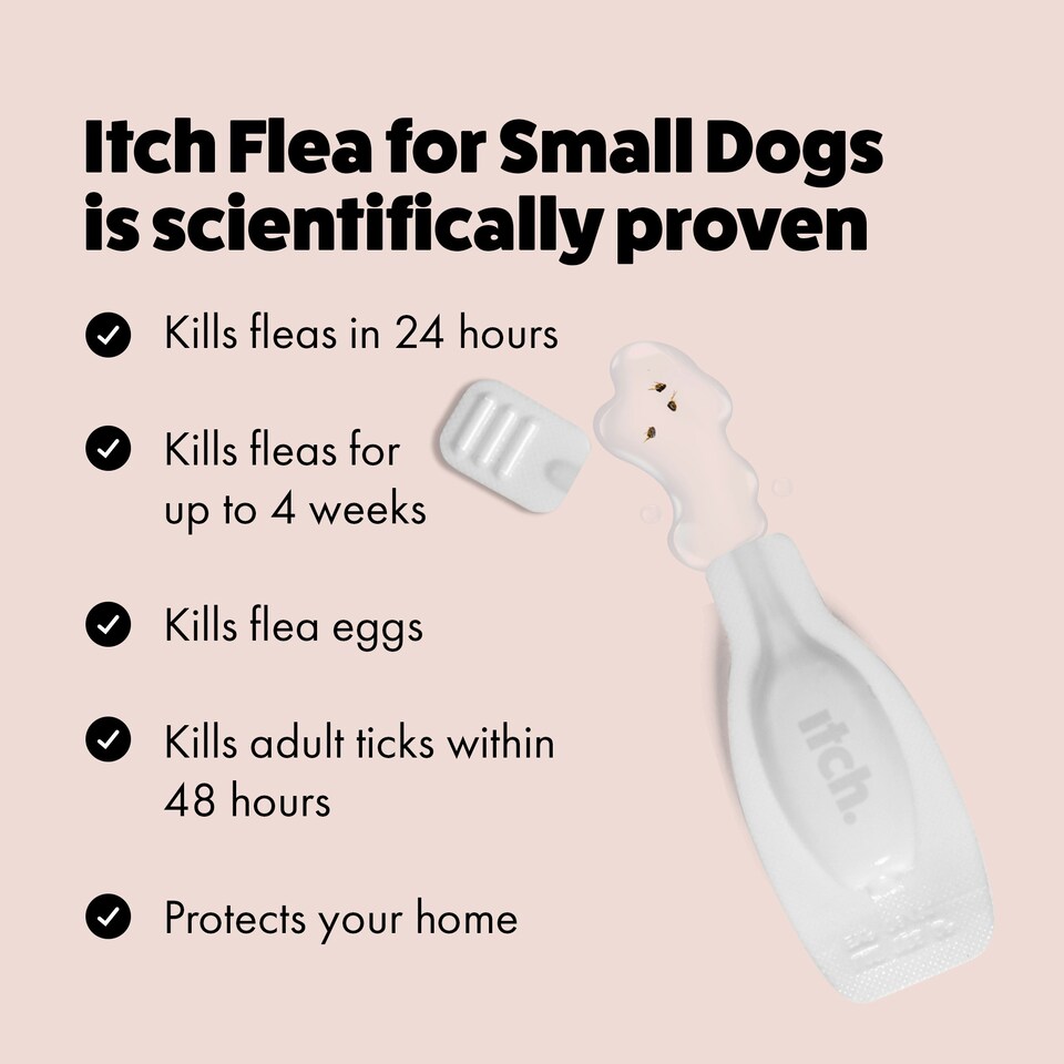 image 1 of Itch Flea Small Dog Flea & Tick Spot On Treatment 1 Pipette (2-10kg)