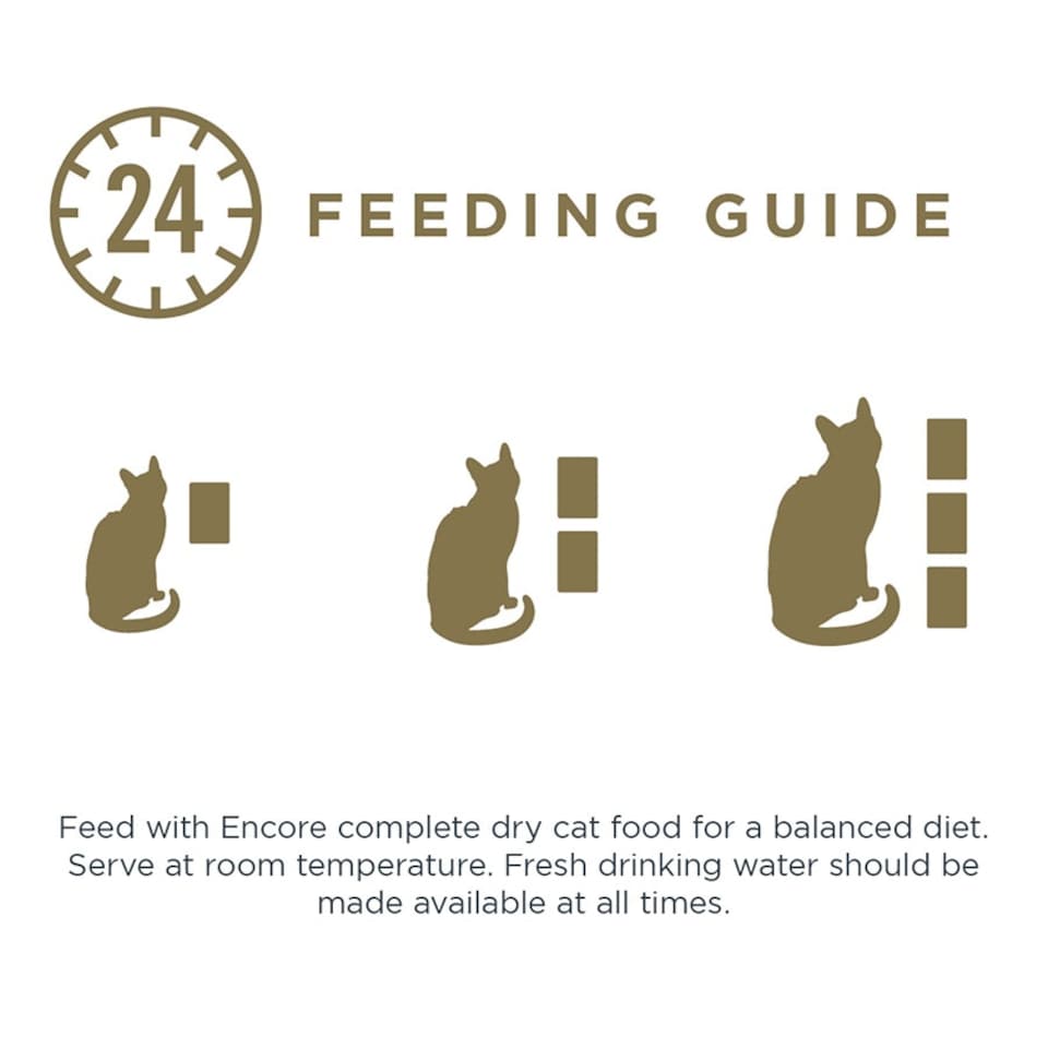 image 1 of Encore Cat Pouch Chicken and Brown Rice - 70g (Pack of 16)