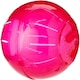 image 1 of Walter Harrison's Small Animal Plastic Running Exercise Ball For Degus & Rats - Large - 25cm