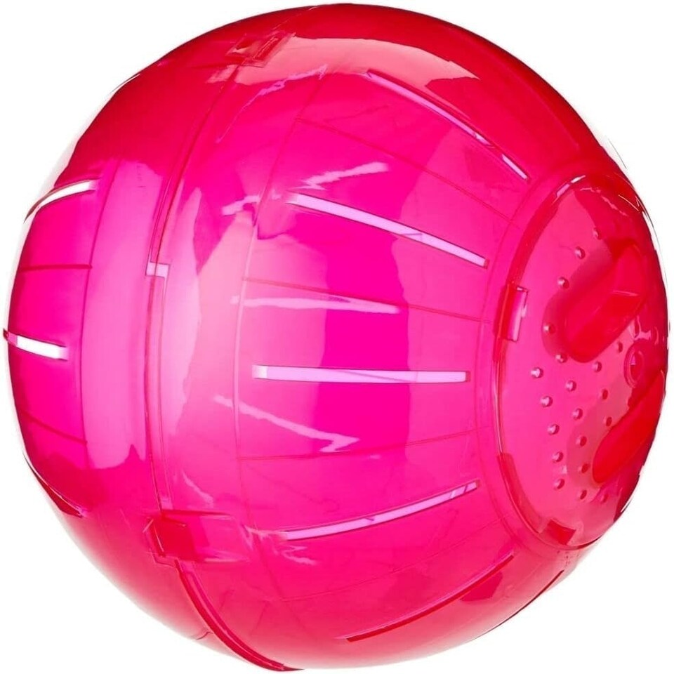 image 1 of Walter Harrison's Small Animal Plastic Running Exercise Ball For Degus & Rats - Large - 25cm