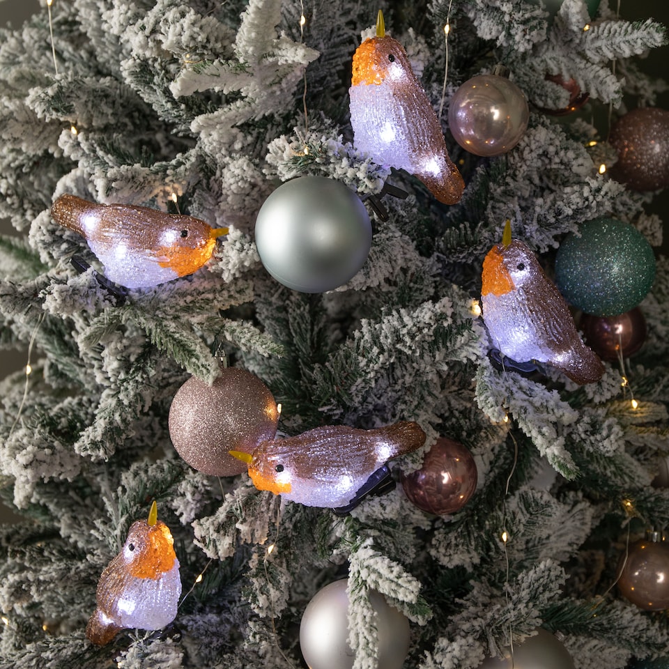 image 1 of 5 Acrylic Indoor Outdoor Robin Christmas Lights with 30 Ice White LEDs