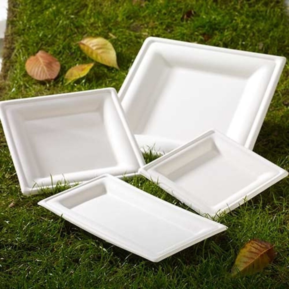 image 1 of White Rectangular Compostable Bagasse Serving Tray Plates 26cm - Pack of 125