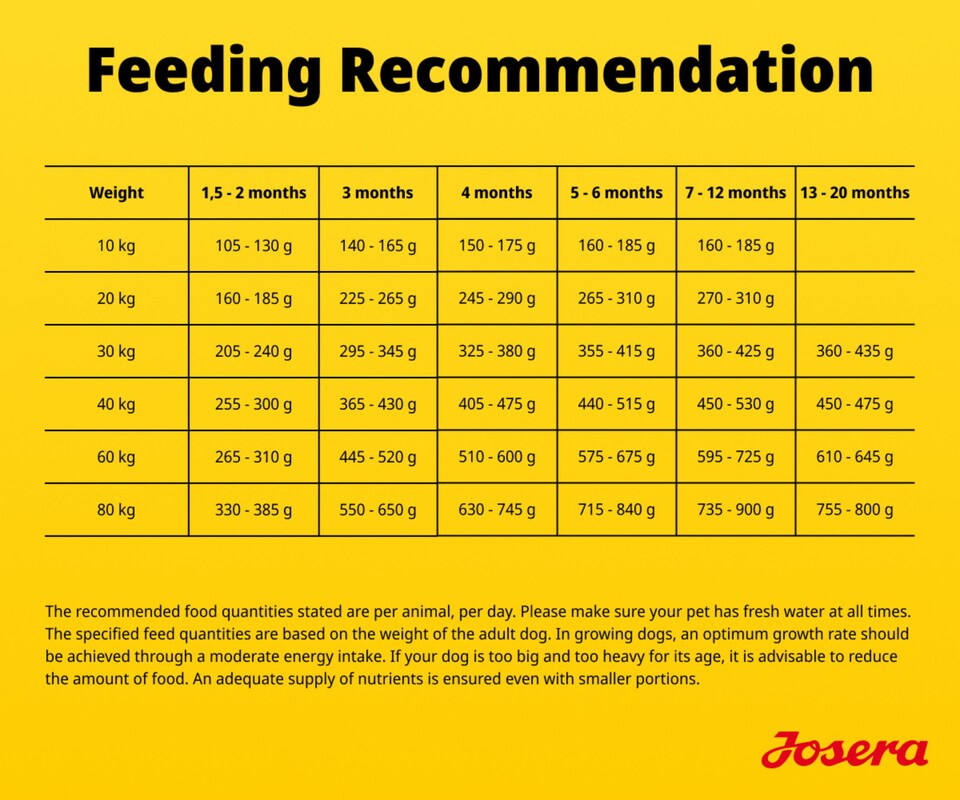 image 1 of Josera Junior Kids complete puppy food | Gluten-free | Medium & large breeds | Lots of meat | Optimal development | Omega 3 from Salmon Oil | 5x0.9kg