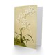 image 2 of Frederick Sander Odontoglossum Ramosissimum Orchid Art Greeting Card