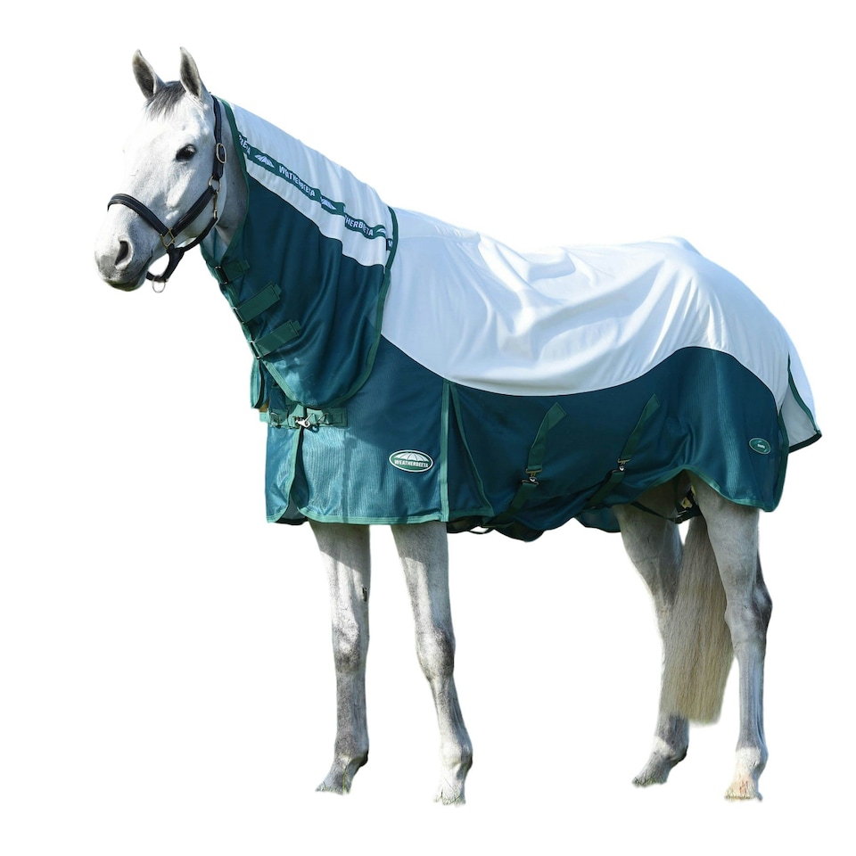 image 1 of Weatherbeeta Green-Tec Combo Neck Airflow Horse Fly Rug - White/Dragonfly Blue - 6´