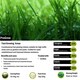 image 2 of Pegdev ProGrow Grass Seed Fast-Growing High Density Disease Resistant 1kg